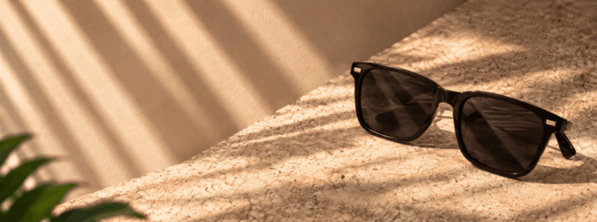 Men Sunglasses
