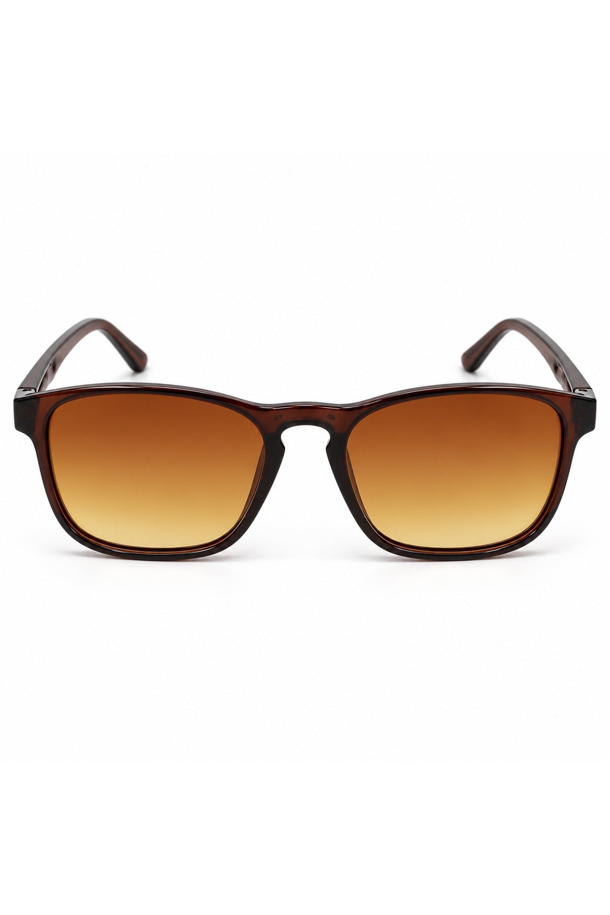 NWF-SUNGLS-LSG-40 Tortoiseshell Brown Amber 5