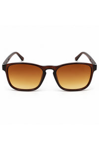 NWF-SUNGLS-LSG-40 Tortoiseshell Brown Amber 5