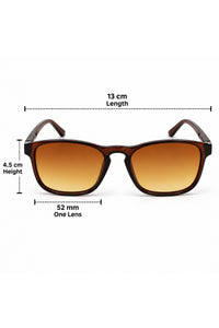 NWF-SUNGLS-LSG-40 Tortoiseshell Brown Amber 2