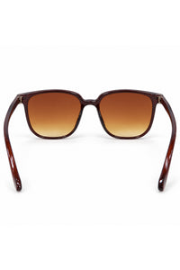 NWF-SUNGLS-LSG-5 Brown Amber Gradient 6