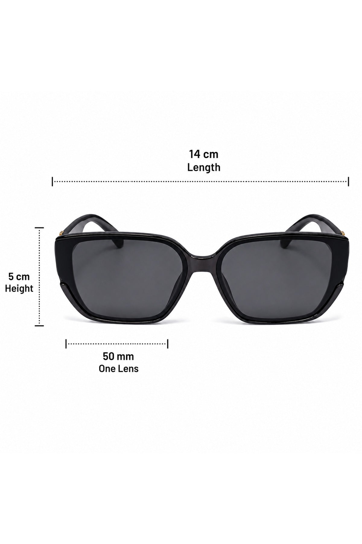 NWF-SUNGLS-820786 Black Smoke Grey 2
