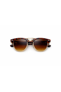 Tortoiseshell Brown Gradient