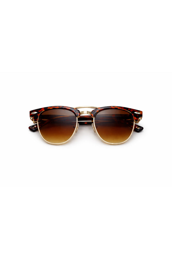 Tortoiseshell Brown Gradient