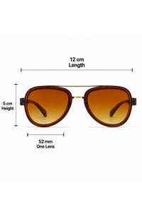 NWF-SUNGLS-LSG-28 Tortoiseshell Brown Amber 2