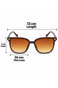 NWF-SUNGLS-LSG-5 Brown Amber Gradient 2