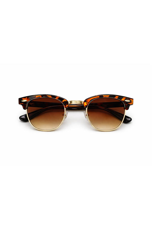 Tortoiseshell Brown Gradient