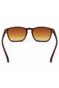 NWF-SUNGLS-LSG-40 Tortoiseshell Brown Amber 6
