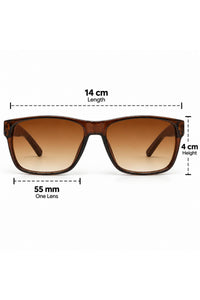 NWF-SUNGLS-LSG-44 Tortoiseshell Brown Amber Gradient 2