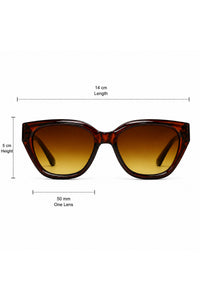 NWF-SUNGLS-820803 Tortoiseshell Brown Amber 2