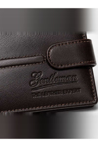 GM-0170 Brown 3